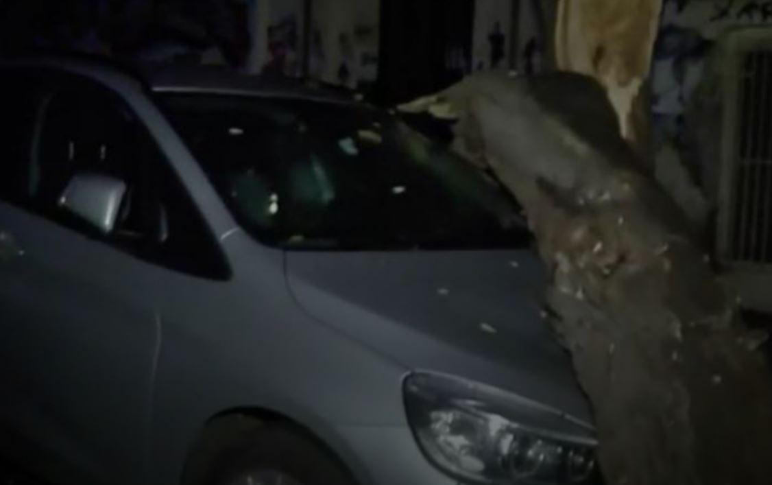 Τροχαίο στην Περιβόλα Πατρών: Ο οδηγός εξαφανίστηκε μετά τη σύγκρουση με δένδρο