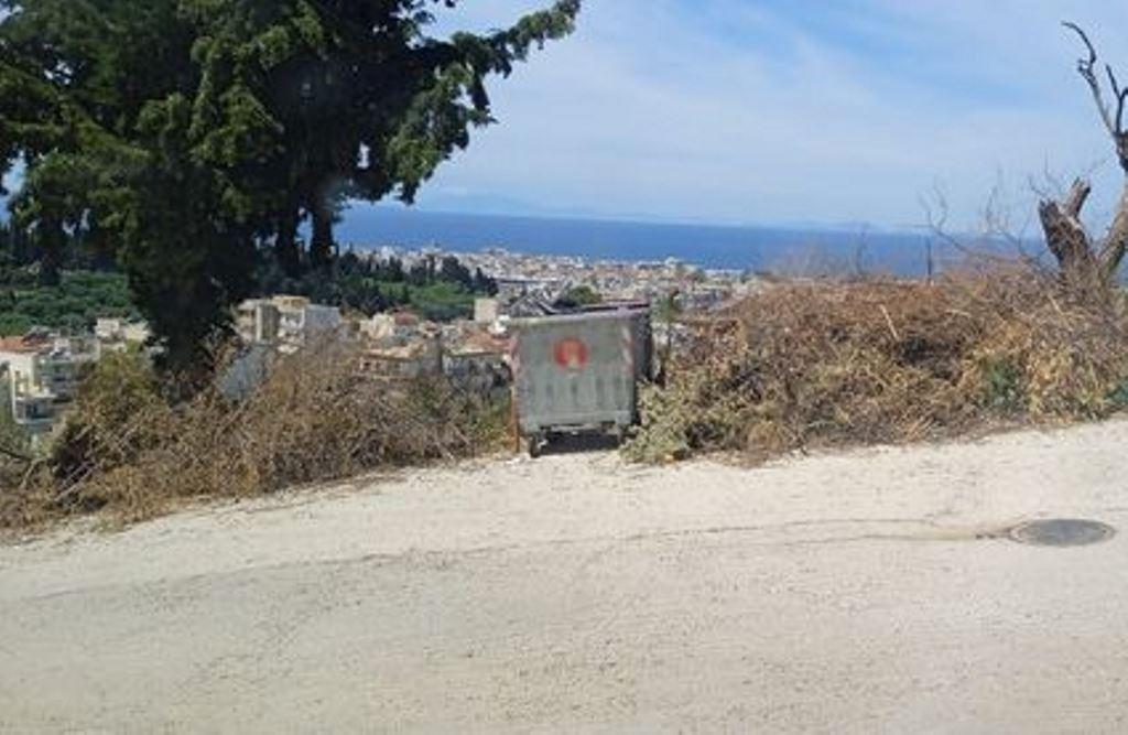 ΠΑΤΡΑ: Πλησιάζοντας η Αντιπυρική Περίοδος, η Δημοτική Αρχή της Πάτρας Επιδεικνύει Αδιαφορία για Ξερόκλαδα Δίπλα σε Μετασχηματιστές - ΦΩΤΟ