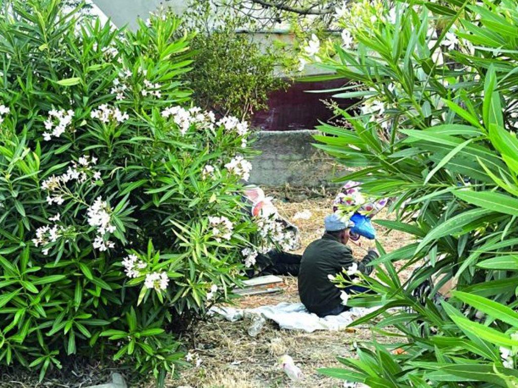 ΠΑΤΡΑ-Το Στέκι Σκηνιτών στο Καρνάγιο: Από Εστία Μόλυνσης σε Ευκαιρία Ανάπτυξης - ΦΩΤΟ