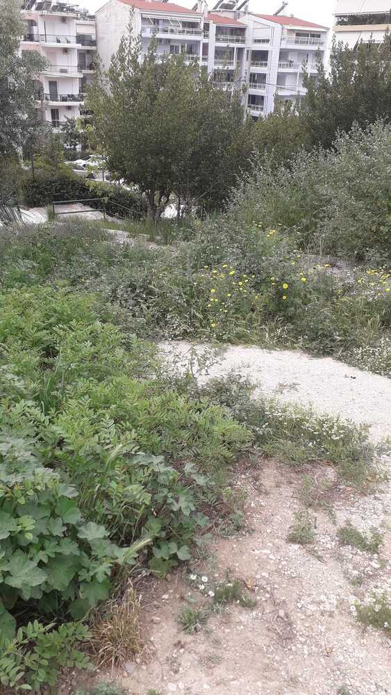 ΠΑΤΡΑ-Η Πλατεία Ανθούπολης: Μια Χώρος Απαξίωσης και Κινδύνου - ΦΩΤΟ