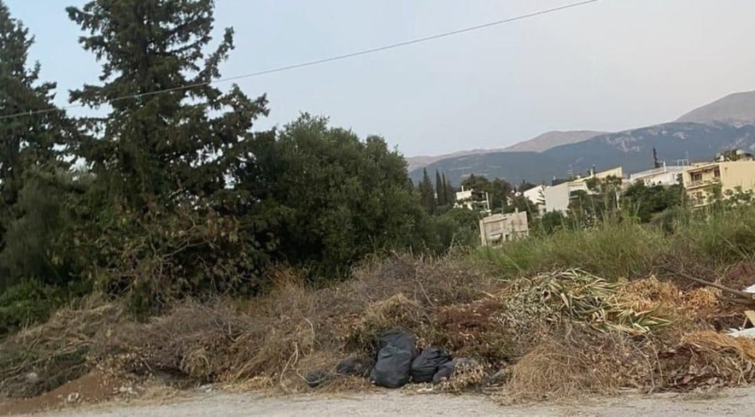ΠΑΤΡΑ: Αγανάκτηση Κατοίκων της Αρόης για την Ανεπαρκή Αποκομιδή Σκουπιδιών και Κινδύνους Πυρκαγιάς - ΦΩΤΟ