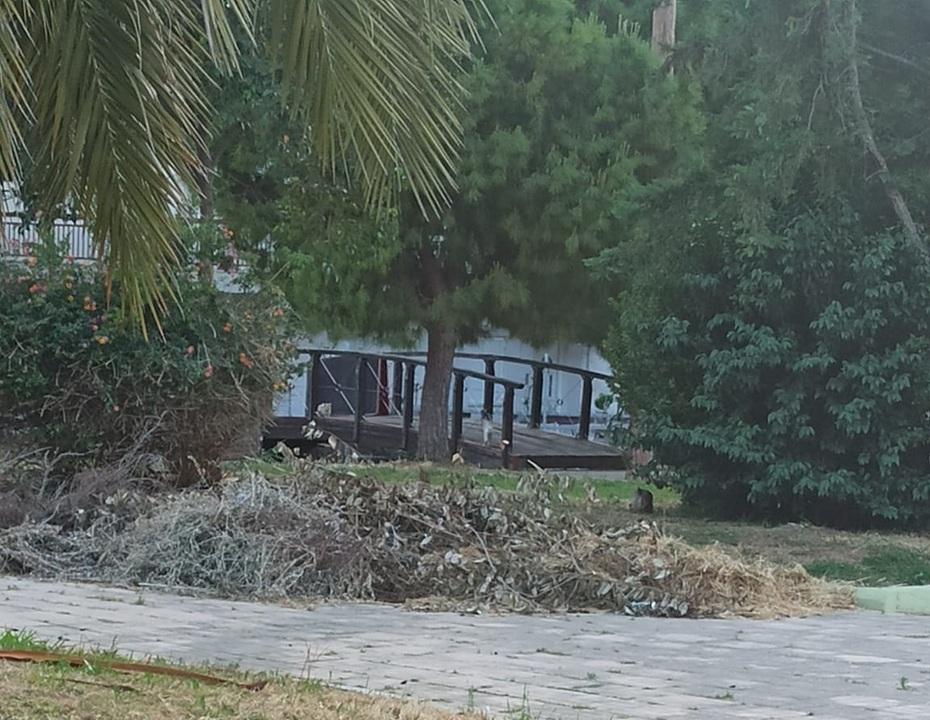 ΠΑΤΡΑ-Η Πλατεία Ποντιακού Ελληνισμού σε Παρακμή: Αγωνία των Κατοίκων για την Εγκατάλειψη - ΦΩΤΟ