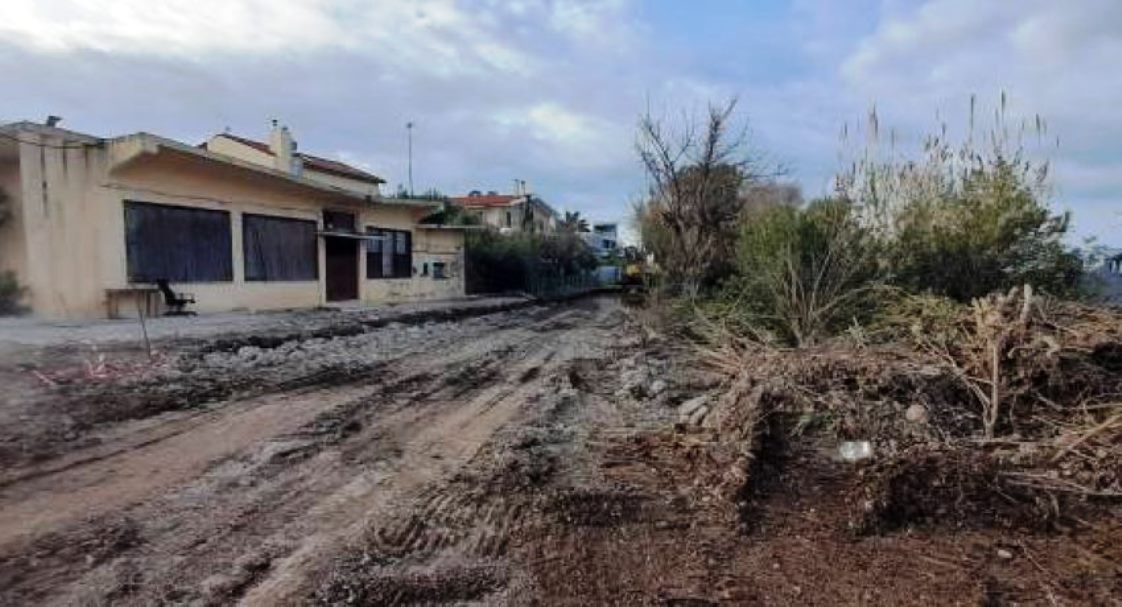 Δάφνες Πατρών, παραλιακός παράδεισος, καταστροφή, διάνοιξη δρόμου, υποβάθμιση, οικοσύστημα, χλωρίδα, πανίδα, άγρια ζωή, θαλάσσιες χελώνες, δέντρα, δημοτική αρχή, δημόσια χρήματα, επιχειρηματικά συμφέροντα, ρύπανση, ασφάλεια, περιβάλλον, κάτοικοι, διαμαρτυρία, ποιότητα ζωής, μικροπολιτικά συμφέροντα