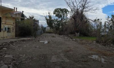 Δάφνες Μποζαϊτίκων, κοπή δέντρων, περιβαλλοντική καταστροφή, αντιδράσεις κατοίκων, Παναγιώτης Μελάς, διάνοιξη δρόμου, επιχειρηματικά συμφέροντα, δημοτική αρχή, πρόσβαση Πρωτέως, διαφάνεια, καταγγελίες, παρέμβαση περιβάλλοντος, τοπική κοινωνία, ερωτήματα κατοίκων