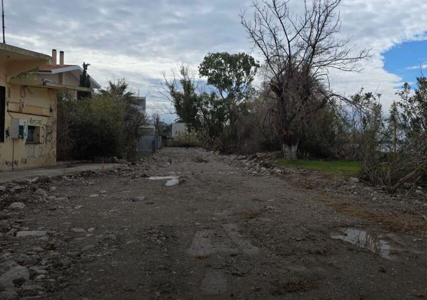 Δάφνες Μποζαϊτίκων, κοπή δέντρων, περιβαλλοντική καταστροφή, αντιδράσεις κατοίκων, Παναγιώτης Μελάς, διάνοιξη δρόμου, επιχειρηματικά συμφέροντα, δημοτική αρχή, πρόσβαση Πρωτέως, διαφάνεια, καταγγελίες, παρέμβαση περιβάλλοντος, τοπική κοινωνία, ερωτήματα κατοίκων