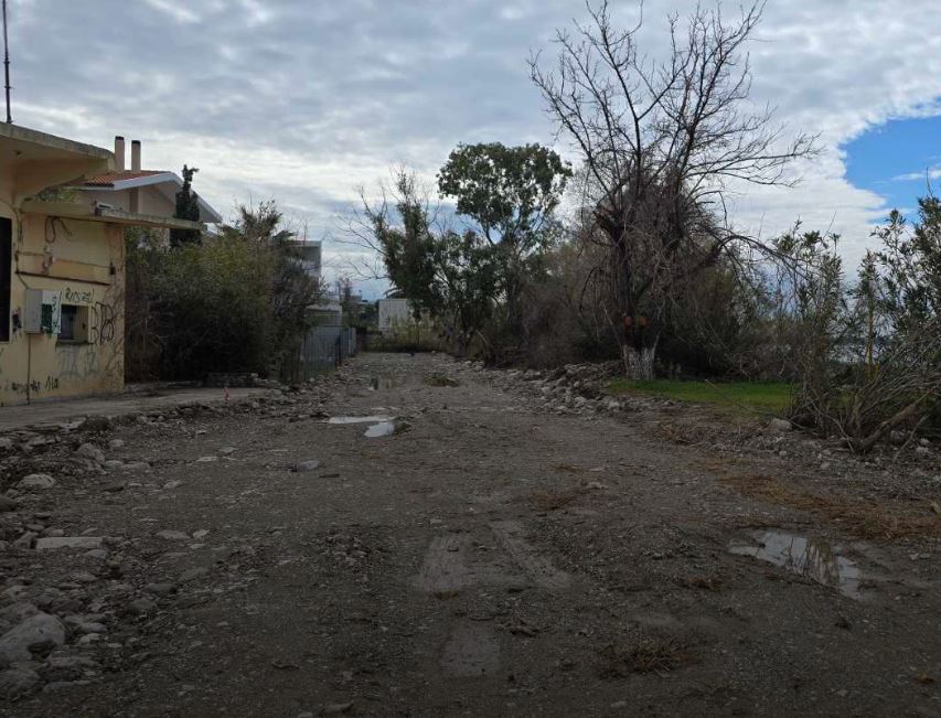 Δάφνες Μποζαϊτίκων, κοπή δέντρων, περιβαλλοντική καταστροφή, αντιδράσεις κατοίκων, Παναγιώτης Μελάς, διάνοιξη δρόμου, επιχειρηματικά συμφέροντα, δημοτική αρχή, πρόσβαση Πρωτέως, διαφάνεια, καταγγελίες, παρέμβαση περιβάλλοντος, τοπική κοινωνία, ερωτήματα κατοίκων
