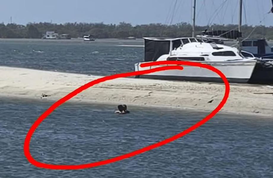 Αυστραλία, δημόσιο σεξ, ζευγάρι, λίμνη Dipple Lagoon, αυτόπτες μάρτυρες, χρήματα, παράσταση, ποινικό αδίκημα, πρόστιμο, φυλάκιση, αρχές, ξενοδοχείο, ερωτικές περιπτύξεις, καταγραφή βίντεο, αντιδράσεις, δημόσια συμπεριφορά, παράνομη πράξη