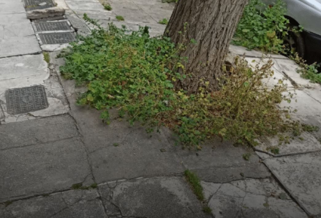 πεζοδρόμιο, Γιαννιτσών, κακοτεχνίες, παράπονα κατοίκων, ολισθηρό οδόστρωμα, υπερυψωμένα πλακάκια, επικίνδυνη διάβαση, ηλικιωμένοι, Κέντρο Υγείας Αγίου Αλεξίου, ΙΚΑ, προσβασιμότητα, πεζοδρόμηση, δημοτικά έργα, ασφάλεια πεζών, δημοτική αρχή