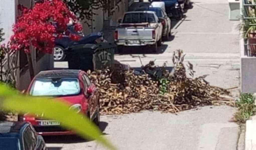 Έξω Αγυιά, Πάτρα, ξερά χόρτα, κλαδιά, δρόμος, αποκλεισμός, δημότης, Δήμος Πατρέων, καθαριότητα, αποκομιδή, συνεργείο, απειλή, πέτρα, επεισόδιο, ηλικιωμένος, γείτονες, τσουγκράνα, διασταύρωση Πηνειού και Σελινούντος, τοπικά νέα, περιστατικό, αγανάκτηση, κυκλοφορία, οικόπεδο, Δημοτική Υπηρεσία, Πατραϊκά Νέα