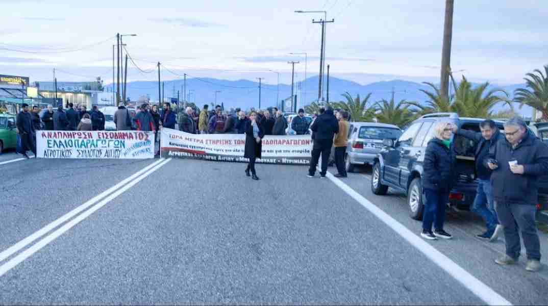 Αίγιο, ΟΠΚΕ, αστυνομία, γκάφα, δημοσιογράφοι, εικονολήπτες, παρακώλυση συγκοινωνιών, τηλεοπτικά συνεργεία, αγροτικές κινητοποιήσεις, πινακίδες κυκλοφορίας, δίκη, Δικαστήριο Αιγίου, αγρότες, ελευθερία Τύπου, ρεπορτάζ, ποινική δίωξη, αστυνομικός έλεγχος, αστοχία, καταγραφή οχημάτων, παραπλανητική δίωξη, χωράφι, αποκλεισμένος δρόμος, ΜΜΕ, ποινικοποίηση ρεπορτάζ