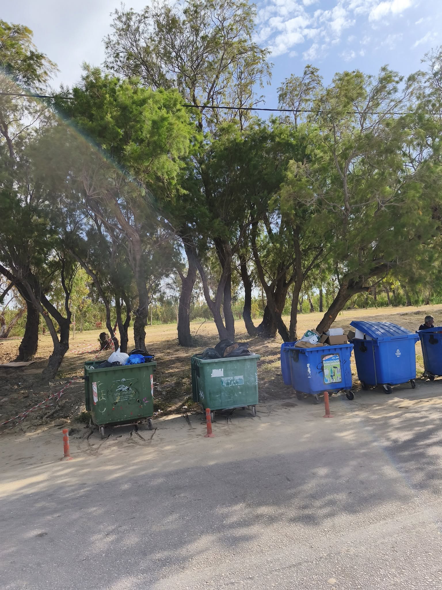 Μπορεί να είναι εικόνα 1 άτομο και δέντρο