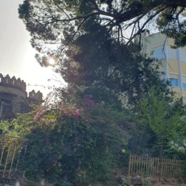 Αρόη, κάτοικοι, φωτιά, κίνδυνος πυρκαγιάς, πεύκα, Κωνσταντοπούλειο, Ευγηρείο, ακαθάριστο οικόπεδο, Πολιτική Προστασία, ΔΕΗ, καλώδια, καθαρισμός οικοπέδων, παράταση, gov.gr, καλοκαίρι, εστία μόλυνσης, ιδιωτική περιουσία, αντιπυρική προστασία, καταγγελία κατοίκων, πρωθυπουργός, συλλογική προσπάθεια, δημόσια ασφάλεια