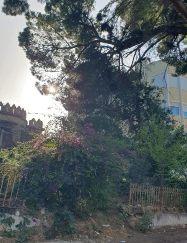 Αρόη, κάτοικοι, φωτιά, κίνδυνος πυρκαγιάς, πεύκα, Κωνσταντοπούλειο, Ευγηρείο, ακαθάριστο οικόπεδο, Πολιτική Προστασία, ΔΕΗ, καλώδια, καθαρισμός οικοπέδων, παράταση, gov.gr, καλοκαίρι, εστία μόλυνσης, ιδιωτική περιουσία, αντιπυρική προστασία, καταγγελία κατοίκων, πρωθυπουργός, συλλογική προσπάθεια, δημόσια ασφάλεια