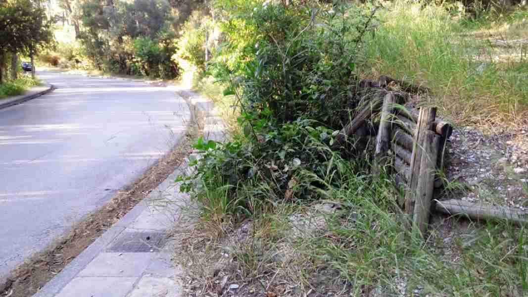 Δασύλλιο, Πάτρα, φυσικός πνεύμονας, πράσινο, αστικό περιβάλλον, εγκατάλειψη, υποδομές, αναψυχή, πεζοπορία, βιοποικιλότητα, περιβαλλοντική προστασία, στρατηγικός σχεδιασμός, οικολογία, ποιότητα ζωής, κλιματική αλλαγή, ανοικτοί χώροι, θέα Πατραϊκού, κοινωνική δράση, αστική ανάπτυξη, περιβαλλοντική ευαισθητοποίηση