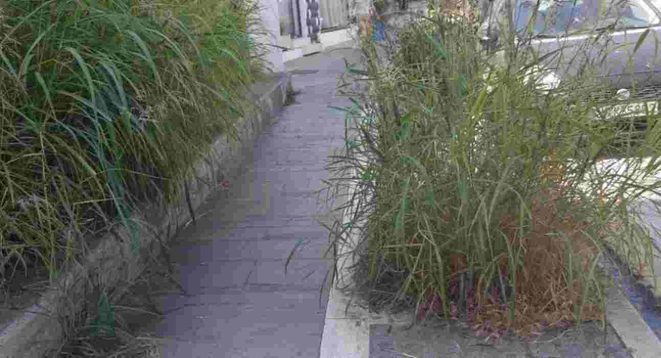 πεζόδρομος, 25ης Μαρτίου, Πάτρα, χόρτα, εγκατάλειψη, πρόσβαση, πεζοί, ασφάλεια, Αγίου Νικολάου, Ρωμαϊκό Ωδείο, πλατεία Αγίου Γεωργίου, τουρισμός, δημότες, καθαριότητα, δήμος Πατρέων, πολιτιστικό ενδιαφέρον, κέντρο Πάτρας, αστική εικόνα, συντήρηση, τουρίστες