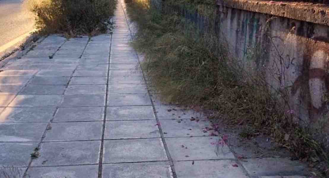 Πάτρα, πεζοδρόμια, χόρτα, θάμνοι, βλάστηση, πεζοί, Ιεροθέου, Σκαγιοπούλειο, εμπόδια, ασφάλεια, καθαριότητα, δημοτική αρχή, κοινόχρηστοι χώροι, εγκατάλειψη, κίνδυνος, κινητικά προβλήματα, ποιότητα ζωής, Δήμος Πατρέων, συντήρηση, καθημερινότητα