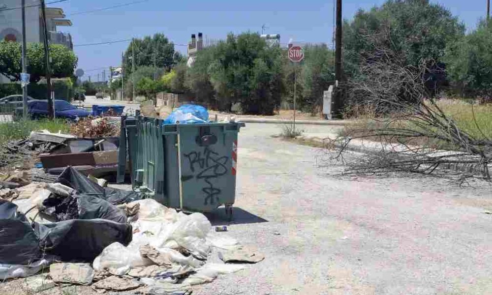 Νεάπολη, Ζαρουχλείκα, Πάτρα, σκουπίδια, καθαριότητα, κάδοι, απορρίμματα, κλαδιά, Δήμος Πατρέων, συνεργεία καθαριότητας, αποκομιδή, δημόσια υγεία, κοινόχρηστοι χώροι, παράπονα κατοίκων, αδιαφορία Δήμου, υποβάθμιση περιοχής, χωματερή, γειτονιά, προβλήματα καθαριότητας, εικόνα εγκατάλειψης