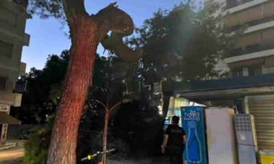 Πλατεία Βουδ, πτώση κλαδιού, δέντρο, περίπτερο, τραυματισμοί, ΔΙΑΣ, Πυροσβεστική, δημόσια ασφάλεια, επικίνδυνα δέντρα, συντήρηση πρασίνου, ατύχημα, θαύμα, αποφυγή τραγωδίας, αστυνομία, κοπή κλαδιού