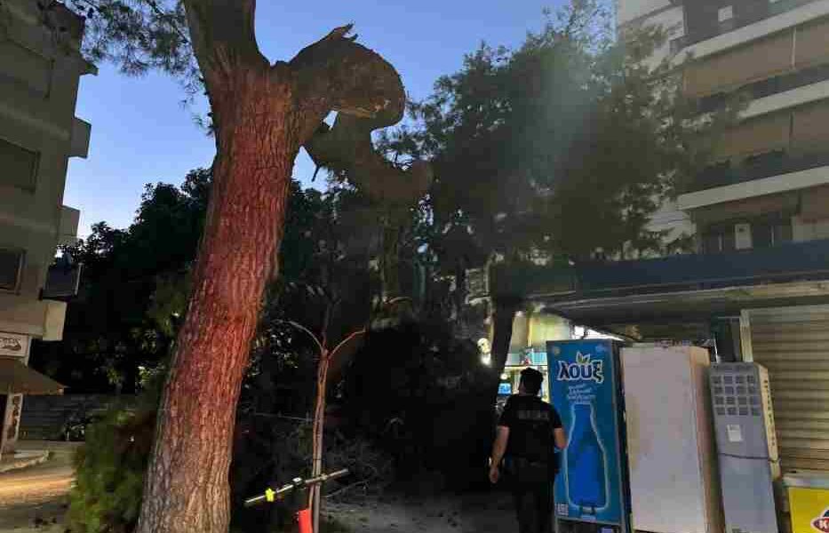 Πλατεία Βουδ, πτώση κλαδιού, δέντρο, περίπτερο, τραυματισμοί, ΔΙΑΣ, Πυροσβεστική, δημόσια ασφάλεια, επικίνδυνα δέντρα, συντήρηση πρασίνου, ατύχημα, θαύμα, αποφυγή τραγωδίας, αστυνομία, κοπή κλαδιού