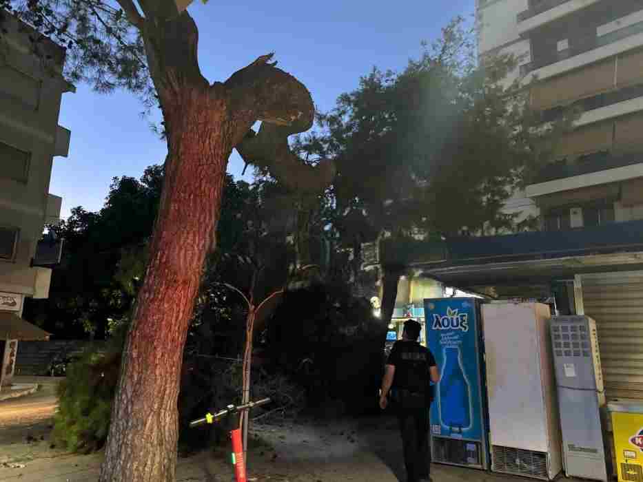 Πλατεία Βουδ, πτώση κλαδιού, δέντρο, περίπτερο, τραυματισμοί, ΔΙΑΣ, Πυροσβεστική, δημόσια ασφάλεια, επικίνδυνα δέντρα, συντήρηση πρασίνου, ατύχημα, θαύμα, αποφυγή τραγωδίας, αστυνομία, κοπή κλαδιού