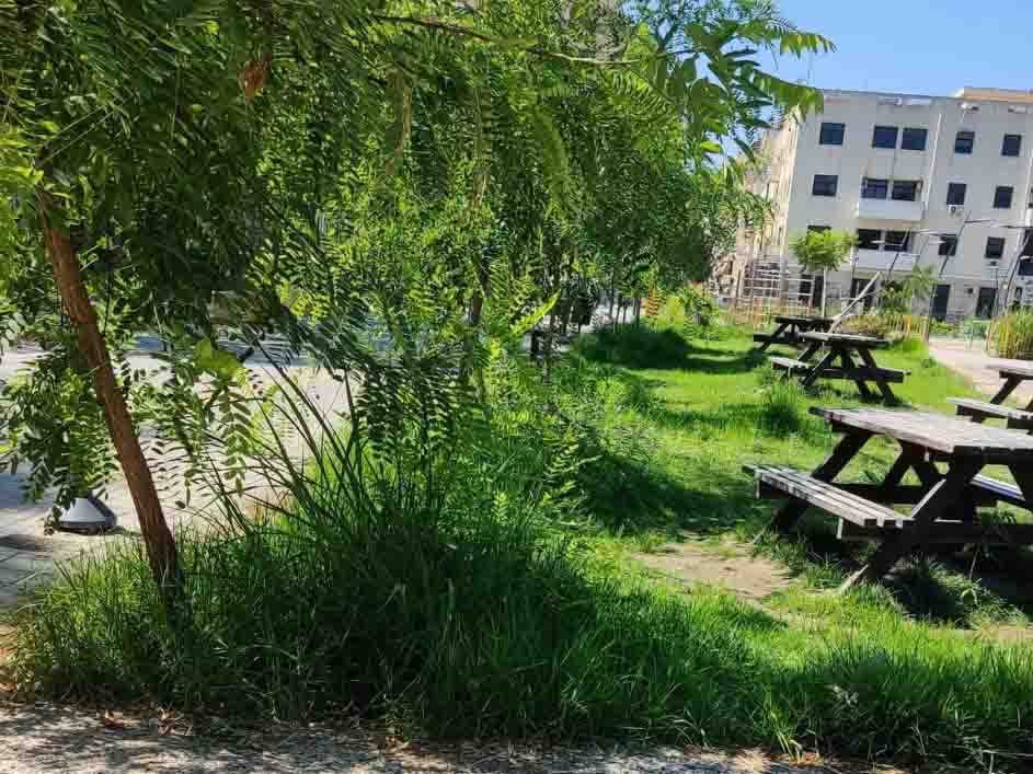 Αγία Σοφία, γειτονιά, εγκατάλειψη, πεζοδρόμια, σκουπίδια, βρωμιά, χόρτα, πλατεία, σχολεία, εκκλησία, αδιαφορία, δημόσιος χώρος, ποιότητα ζωής, καθαριότητα, συντήρηση, Δήμος, πολιτισμός, περιβάλλον, αποξένωση, κατάθλιψη