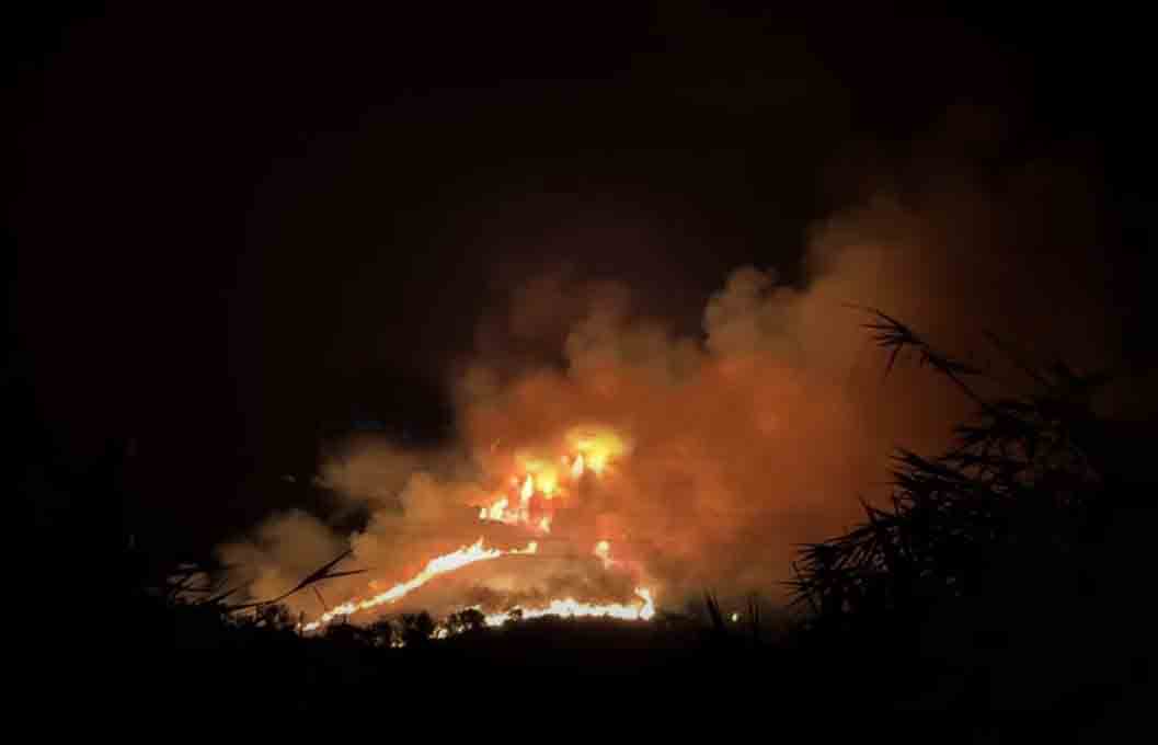 φωτιά, Μακύνεια, Ναυπακτία, πυρκαγιά, χαμηλή βλάστηση, πυροσβεστική, πυροσβέστες, κατάσβεση, οχήματα, επιχειρήσεις, κάηκε, φλόγες, δύσβατο σημείο, συναγερμός, κίνδυνος, Πυροσβεστική Υπηρεσία, Παρασκευή, εξέλιξη πυρκαγιάς, πυροσβεστικές δυνάμεις, υπό έλεγχο