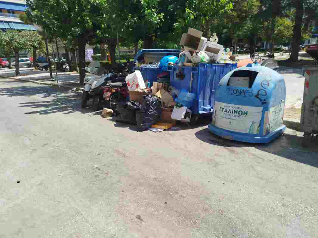 σκουπίδια στα Ψηλά Αλώνια, σκουπίδια στην Ομόνοια, καθαριότητα Δήμου, προβλήματα καθαριότητας Πάτρα, απορρίμματα σε δημόσιους χώρους, δυσοσμία από σκουπίδια, ψάρια στα σκουπίδια, διαμαρτυρίες κατοίκων Πάτρα, καταγγελίες για καθαριότητα, προβλήματα Δήμου Πάτρας, σκουπίδια πλατείες Πάτρα, υπηρεσία καθαριότητας Δήμου, σκουπίδια κέντρο Πάτρας, καθαριότητα πλατείας Ομονοίας, καθαριότητα Ψηλά Αλώνια