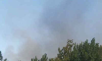 Φωτιά, Τσαπαλέικα, Άγιος Βασίλειος, Πλατάνι, Πάτρα, πυρκαγιά, θερμοκήπια, καπνοί, ισχυροί άνεμοι, Πυροσβεστική, πυκνοί καπνοί, έκταση χαμηλής βλάστησης, κατάσβεση, κίνδυνος εξάπλωσης, κατοικημένες περιοχές, επιφυλακή, Αραχωβίτικα