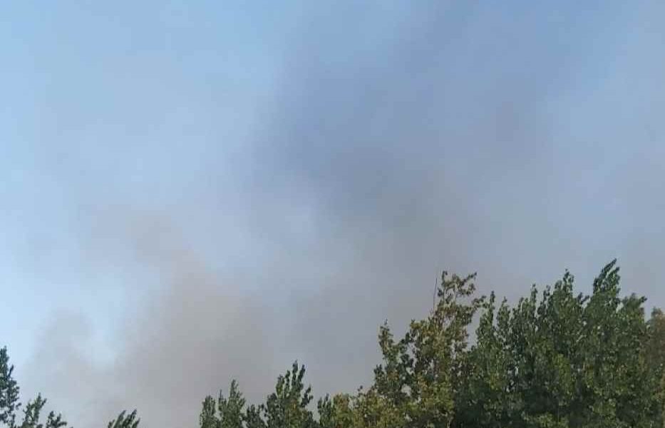 Φωτιά, Τσαπαλέικα, Άγιος Βασίλειος, Πλατάνι, Πάτρα, πυρκαγιά, θερμοκήπια, καπνοί, ισχυροί άνεμοι, Πυροσβεστική, πυκνοί καπνοί, έκταση χαμηλής βλάστησης, κατάσβεση, κίνδυνος εξάπλωσης, κατοικημένες περιοχές, επιφυλακή, Αραχωβίτικα