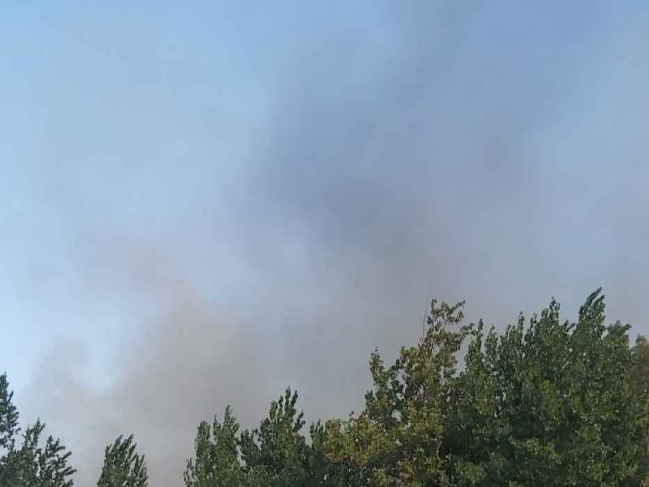 Φωτιά, Τσαπαλέικα, Άγιος Βασίλειος, Πλατάνι, Πάτρα, πυρκαγιά, θερμοκήπια, καπνοί, ισχυροί άνεμοι, Πυροσβεστική, πυκνοί καπνοί, έκταση χαμηλής βλάστησης, κατάσβεση, κίνδυνος εξάπλωσης, κατοικημένες περιοχές, επιφυλακή, Αραχωβίτικα