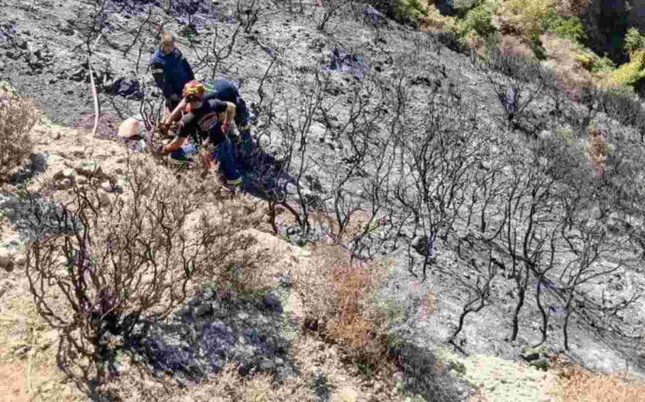 πυροσβέστης, νοσοκομείο, σοβαρός τραυματισμός, χαράδρα, Μπάλα, φωτιά, αναζωπύρωση, κάταγμα, γόνατο, χειρουργική επέμβαση, φτέρνα, σπόνδυλος, ΕΜΑΚ, διάσωση, Πάτρα, επιχείρηση κατάσβεσης, πυρκαγιά, μάχη με τις φλόγες