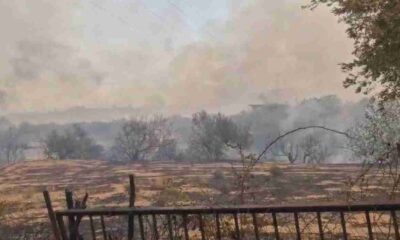 Πάτρα, φωτιά, πυρκαγιά, έκταση, θερμά σημεία, δορυφόροι, VIIRS, SUOMI, NOAA-20, NOAA-21, Βούντενη, Μπάλλα, Ιερά Μονή Μπάλα, απεγκλωβισμός, εκκένωση, τέρμα Θεοφράστου, πυροσβεστική, διάσωση, επικίνδυνη κατάσταση, καμένα στρέμματα, μέτωπο φωτιάς, πολίτες, συναγερμός, έκτακτη ανάγκη