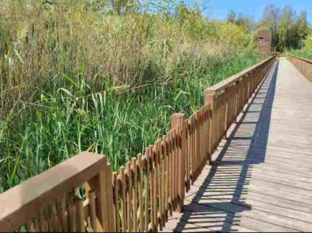 Έλος Αγυιάς, Agia wetlands, βανδαλισμοί στο Έλος, vandalism in wetlands, προστασία περιβάλλοντος, environmental protection, υγροβιότοπος Κρήτη, Crete wetland, φύση και πολιτισμός, nature and culture, οικολογική καταστροφή, ecological destruction, βιοποικιλότητα, biodiversity, τουρισμός Κρήτη, Crete tourism, πράσινος πνεύμονας, green lung, προστασία υγροτόπων, wetland protection, περιβαλλοντική ευαισθητοποίηση, environmental awareness, τοπικό οικοσύστημα, local ecosystem, διατήρηση φύσης, nature conservation