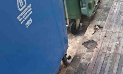 καθαριότητα, κάτοικοι, κέντρο, κατσαρίδες, κάδοι, Δήμος, δημοτική αρχή, παράπονα, ζέστη, βρωμιά