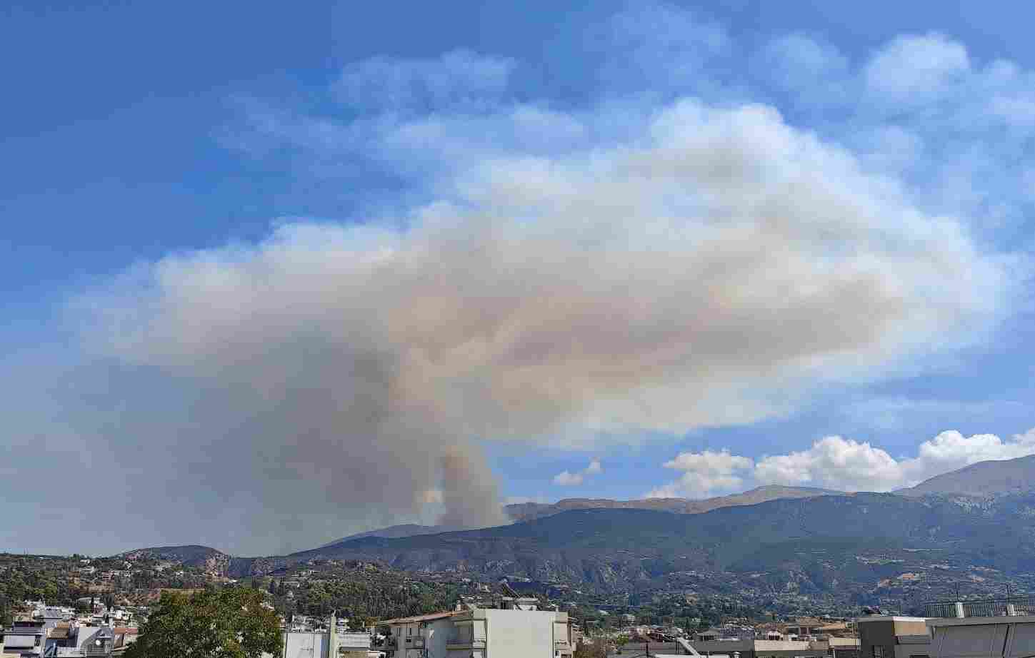 φωτιά Άνω Καστρίτσι, fire Ano Kastritsi, δασική πυρκαγιά Πάτρα, forest fire Patras, πυροσβεστική Αχαΐα, fire brigade Achaia, εναέρια μέσα πυρόσβεσης, aerial firefighting, κατάσβεση φωτιάς, fire suppression, δύσβατη περιοχή, remote area, ισχυροί άνεμοι, strong winds, προληπτική εκκένωση, preventive evacuation, μεγάλη πυρκαγιά Ελλάδα, major wildfire Greece, επιχειρήσεις πυρόσβεσης,