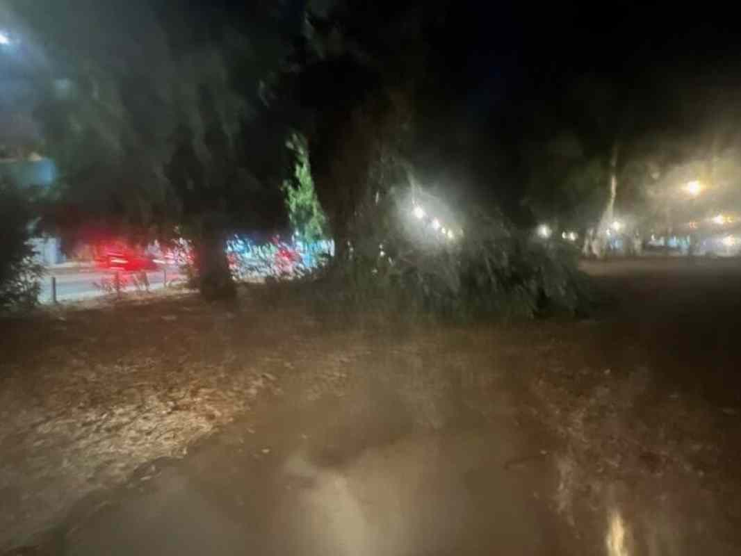 Πάτρα, Patras, Νότιο Πάρκο, South Park, πτώση κλαδιού, fallen tree branch, ισχυροί άνεμοι, strong winds, δημόσιο πάρκο, public park, ατύχημα, accident, ασφάλεια πολιτών, public safety, συντήρηση δέντρων, tree maintenance, έλεγχος δέντρων, tree inspection, πρόληψη ατυχημάτων, accident prevention, δημοτική αρχή, municipal authorities, ανησυχία πολιτών, citizens’ concern, δημόσιοι χώροι, public spaces, χώρος αναψυχής,