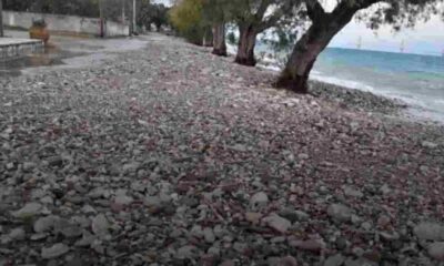 Αραχωβίτικα, Arachovitika, παραλιακός δρόμος, coastal road, διάβρωση παραλίας, beach erosion, αρμυρίκια, tamarisks, αιγιαλός, seashore, προστασία ακτής, coastal protection, φυσικοί ογκόλιθοι, natural boulders, κακοτεχνίες Δήμου, municipal mismanagement, κίνδυνος πλημμύρας, flood risk, θυελλώδεις άνεμοι, strong winds, χειμερινή διάβρωση, winter erosion, διαχείριση αιγιαλού, shoreline management, καταγγελία κατοίκων, residents’ complaint, προστασία περιβάλλοντος, environmental protection, Ελλάδα, Greece, παραλία, beach, παράκτια ζώνη,