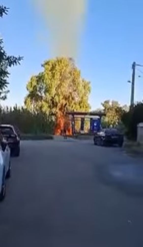 φωτιά Πάτρα, fire Patras, πυρκαγιά Αγυιά, fire Agyia, φωτιά Προαστιακός Πάτρα, fire Suburban Railway Patras, πυροσβεστική Πάτρα, fire brigade Patras, αστυνομία Πάτρα, police Patras, καλαμιές φωτιά, reeds fire, πλατεία Αγυιά φωτιά, Agyia square fire, οδός Διαγόρα Πάτρα, Diagora street Patras, νεαροί εμπλεκόμενοι φωτιά, youths involved fire, φωτιά κατοικίες καταστήματα, fire near houses shops, περιστατικό Πάτρα φωτιά, Patras fire incident, πρόληψη πυρκαγιών, fire prevention