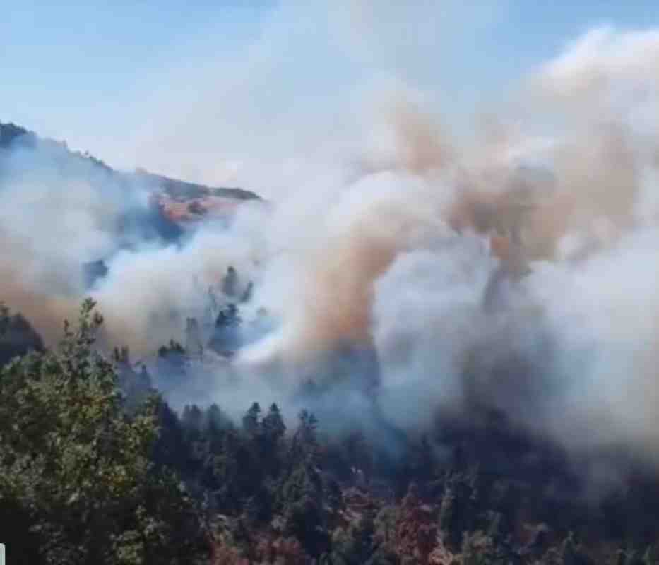 Πάτρα, Patras, Άνω Καστρίτσι, Ano Kastritsi, Παναχαϊκό, Panachaiko, πυρκαγιά, wildfire, φωτιά, fire, Πυροσβεστική Υπηρεσία, Fire Department, δασοκομάντος, forest commandos, εναέρια μέσα, aerial firefighting, πεζοπόρα τμήματα, ground crews, Πολιτική Προστασία, Civil Protection, καπνός, smoke, καύτρες, embers, Άγιος Παντελεήμονας, Saint Panteleimon, δασική πυρκαγιά, forest fire, έλατα, fir trees, ανεμογεννήτριες, wind turbines, κτηνοτροφικές εγκαταστάσεις, livestock facilities, 6η ΕΜΟΔΕ, 6th EMODE, εθελοντές, volunteers, Πάτρα πυρκαγιά 2025,