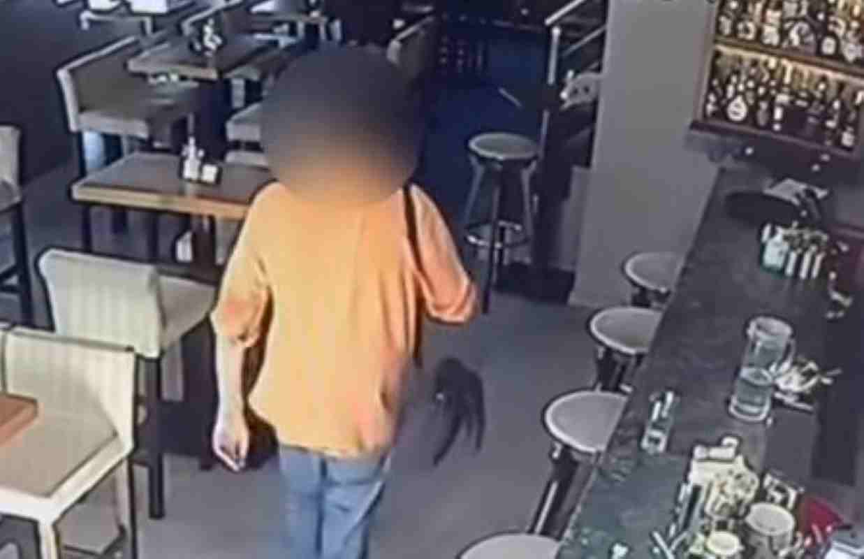 Πάτρα, Patras, Γεροκωστοπούλου, Gerokostopoulou, διάρρηξη, burglary, κλοπή κινητού, mobile phone theft, καφετέρια, coffee shop, κάμερες ασφαλείας, security cameras, δράστης, perpetrator, αστυνομία, police, social media, ιδιοκτήτης καφετέριας, coffee shop owner, έρευνες, investigation, μέτρα ασφαλείας, security measures, πρωινό περιστατικό, morning incident, καταγραφή βίντεο, video footage, εντοπισμός δράστη, suspect identification, τοπική είδηση, local news, εγκληματικότητα,