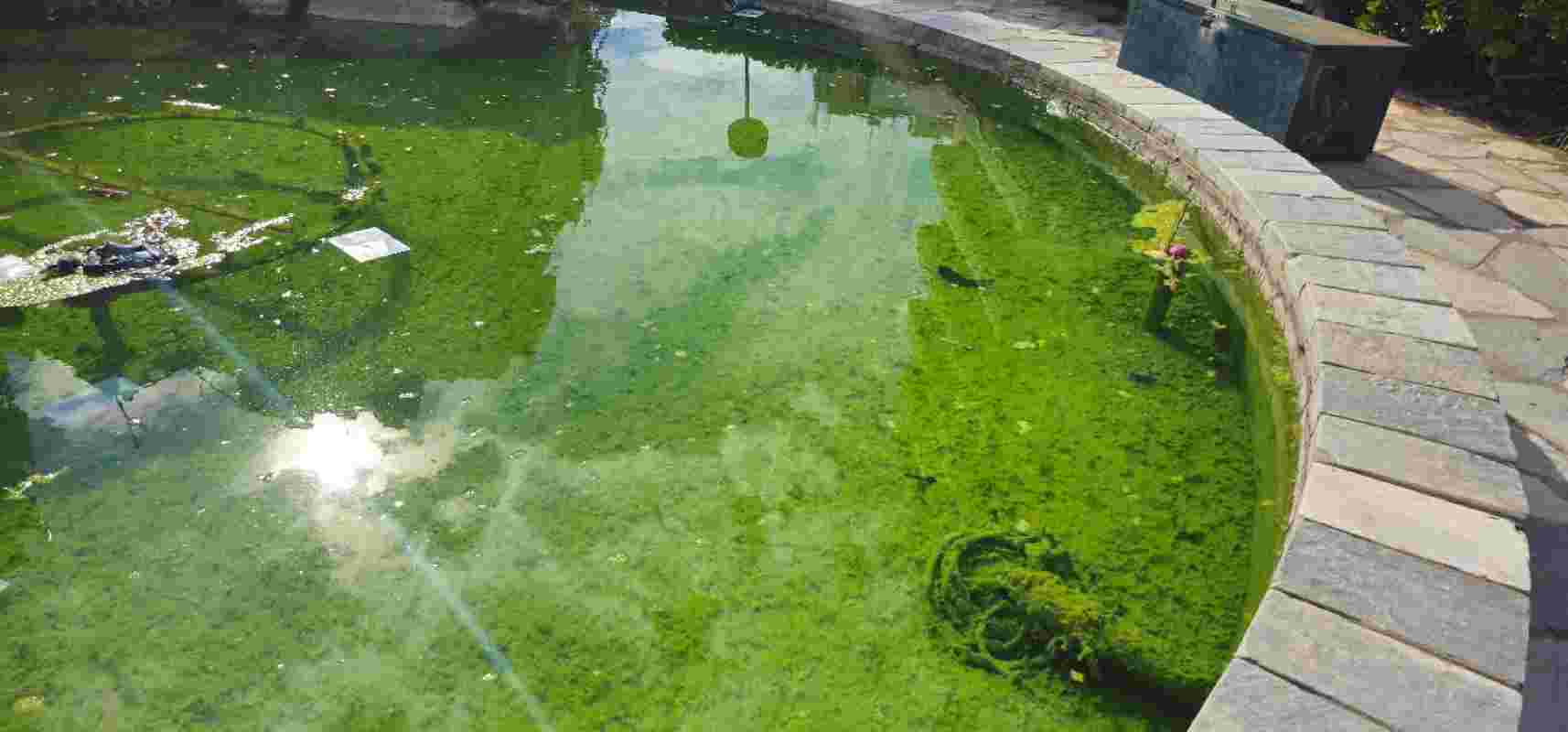 Πάτρα, Patras, συντριβάνι Αγίας Σοφίας, Agia Sofia fountain, εγκατάλειψη, abandonment, παρακμή, decay, δημοτική ανευθυνότητα, municipal negligence, βανδαλισμός, vandalism, καθαριότητα πόλης, city cleanliness, δημόσια υγεία, public health, ρύπανση, pollution, πολιτική σήψη, political decay, τοπική αυτοδιοίκηση, local government, ευθύνη πολιτών, citizens’ responsibility, πολιτιστική κληρονομιά, cultural heritage, εικόνα πόλης, city image, περιβάλλον, environment, αδιαφορία, indifference, κοινωνική ευθύνη, social responsibility, Πάτρα καθαριότητα, Patras cleanliness, Πάτρα εγκατάλειψη, Patras decay, αστική παρακμή, urban decay, πολιτική ευθύνη, political responsibility