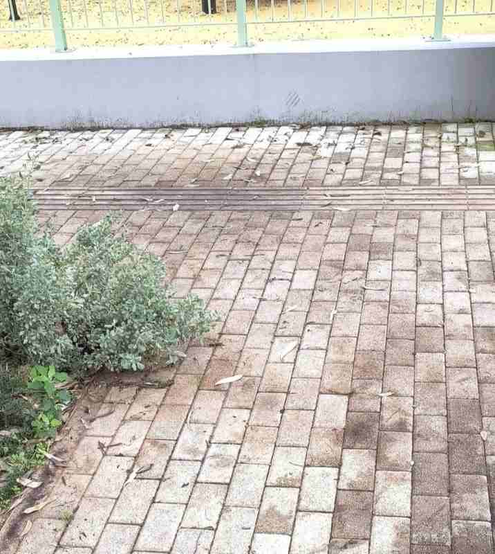 Πλατεία Βλατερού, Vlatero Square, Ανακατασκευή πλατείας, Square Reconstruction, Αστοχίες έργου, Project Failures, Προχειρότητα κατασκευαστή, Contractor Shoddiness, Ποιοτικά προβλήματα, Quality Issues, Νέα πλατεία, New Square, Κατασκευαστικές ελλείψεις, Construction Deficiencies, Φυτεύσεις δέντρων, Tree Planting, Δήμος Πατρέων, Patras Municipality, Βλατερό, Vlatero, Εγκατάλειψη έργου, Project Abandonment, Διάβρωση χώματος,