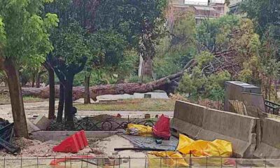 Πλατεία Όλγας, Olga Square, Πάτρα, Patras, πτώση δέντρου, tree fall, πεύκο, pine tree, κακοκαιρία, bad weather, έργα πλατείας, square renovation works, ατύχημα, accident, ευτυχές περιστατικό, lucky escape, καταστηματάρχες Πλατείας Όλγας, Olga Square shop owners, δημοτικά έργα, municipal works, ασφάλεια δημοσίων χώρων, public safety, πτώση πεύκου, pine tree collapse, βροχόπτωση, heavy rain, ζημιές, damages, δημοτικά συνεργεία, municipal crews, έλεγχος πρασίνου, tree maintenance, Πλατεία Όλγας Πάτρα, Olga Square Patras, περιστατικό Πάτρα, Patras incident, τοπική είδηση, local news, ελληνική πόλη, Greek city, επικίνδυνα δέντρα, dangerous trees, ξεριζώθηκε πεύκο, uprooted pine tree, χωρίς τραυματισμούς, no injuries, καιρικά φαινόμενα, weather conditions