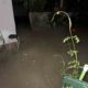 Πλημμύρα Πάτρα, Flood Patras, Δεμένικα Πάτρας, Demenika Patras, πλημμυρισμένο σπίτι, flooded house, εγκλωβισμένοι κάτοικοι, trapped residents, Πυροσβεστική Πάτρα, Fire Brigade Patras, υπερυψωμένος δρόμος, elevated road, έργα Δήμου Πάτρα, Patras municipal works, ζημιές από πλημμύρα, flood damages, απόβλητα σε σπίτι, waste in house, αυτοκίνητο πλημμύρα, car flooded, προβλήματα αποχέτευσης, drainage problems, κακοκαιρία Πάτρα,