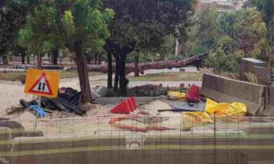 Πλατεία Όλγας, Olga Square, Πάτρα, Patras, πτώση δέντρου, tree fall, πεύκο, pine tree, κακοκαιρία, bad weather, έργα πλατείας, square renovation works, ατύχημα, accident, ευτυχές περιστατικό, lucky escape, καταστηματάρχες Πλατείας Όλγας, Olga Square shop owners, δημοτικά έργα, municipal works, ασφάλεια δημοσίων χώρων, public safety, πτώση πεύκου, pine tree collapse, βροχόπτωση, heavy rain, ζημιές, damages, δημοτικά συνεργεία, municipal crews, έλεγχος πρασίνου, tree maintenance, Πλατεία Όλγας Πάτρα, Olga Square Patras, περιστατικό Πάτρα, Patras incident, τοπική είδηση, local news, ελληνική πόλη, Greek city, επικίνδυνα δέντρα, dangerous trees, ξεριζώθηκε πεύκο, uprooted pine tree, χωρίς τραυματισμούς, no injuries, καιρικά φαινόμενα, weather conditions