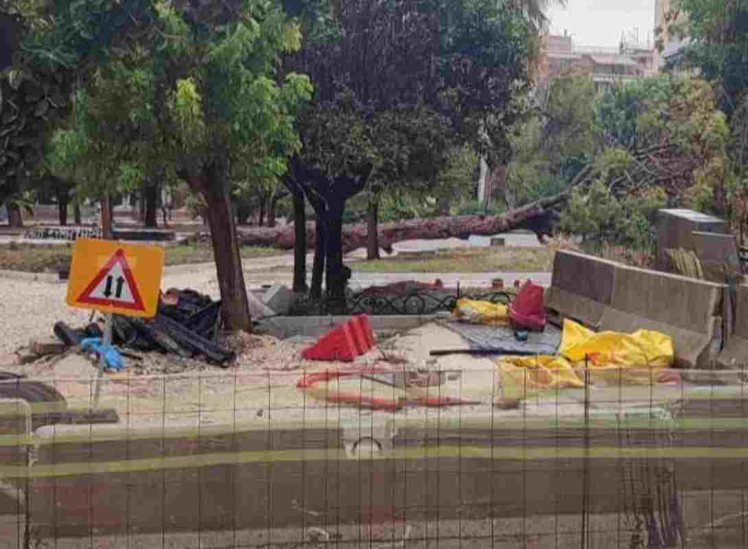 Πλατεία Όλγας, Olga Square, Πάτρα, Patras, πτώση δέντρου, tree fall, πεύκο, pine tree, κακοκαιρία, bad weather, έργα πλατείας, square renovation works, ατύχημα, accident, ευτυχές περιστατικό, lucky escape, καταστηματάρχες Πλατείας Όλγας, Olga Square shop owners, δημοτικά έργα, municipal works, ασφάλεια δημοσίων χώρων, public safety, πτώση πεύκου, pine tree collapse, βροχόπτωση, heavy rain, ζημιές, damages, δημοτικά συνεργεία, municipal crews, έλεγχος πρασίνου, tree maintenance, Πλατεία Όλγας Πάτρα, Olga Square Patras, περιστατικό Πάτρα, Patras incident, τοπική είδηση, local news, ελληνική πόλη, Greek city, επικίνδυνα δέντρα, dangerous trees, ξεριζώθηκε πεύκο, uprooted pine tree, χωρίς τραυματισμούς, no injuries, καιρικά φαινόμενα, weather conditions