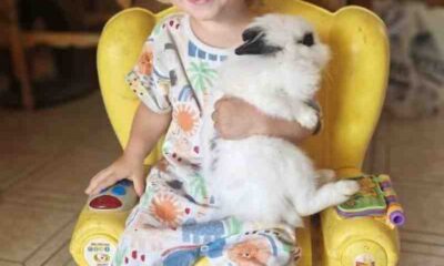 Ζάκυνθος, Zakynthos, επίθεση σκύλου, dog attack, 2χρονος, 2-year-old, Πίτμπουλ, Pitbull, θάνατος παιδιού, child death, Robbie Deeth, Leon Dulia, τραγωδία Ζάκυνθος, Zakynthos tragedy, οικογενειακό σκυλί, family dog, κυνηγοί, hunters, αιτία επίθεσης, cause of attack, Daily Mail, Ελλάδα,