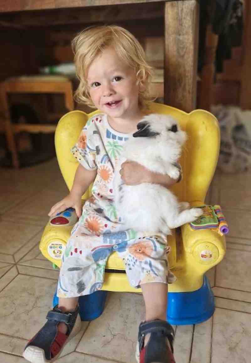 Ζάκυνθος, Zakynthos, επίθεση σκύλου, dog attack, 2χρονος, 2-year-old, Πίτμπουλ, Pitbull, θάνατος παιδιού, child death, Robbie Deeth, Leon Dulia, τραγωδία Ζάκυνθος, Zakynthos tragedy, οικογενειακό σκυλί, family dog, κυνηγοί, hunters, αιτία επίθεσης, cause of attack, Daily Mail, Ελλάδα,