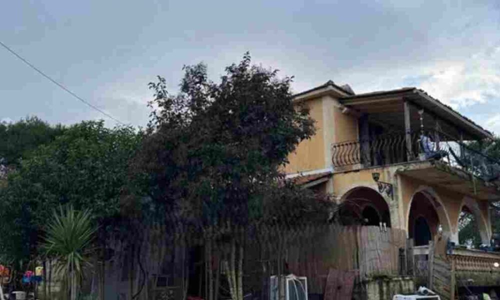 Ζάκυνθος τραγωδία, Zakynthos tragedy, επίθεση σκύλου, dog attack, πιτ μπουλ, pit bull, θάνατος 2χρονου, 2-year-old death, Άγιος Λέοντας, Agios Leontas, κρατούμενοι γονείς, parents detained, αδέσποτος σκύλος, stray dog, παιδί νεκρό, child deceased, ευθύνη ιδιοκτητών, owner responsibility, φονικό pit bull,