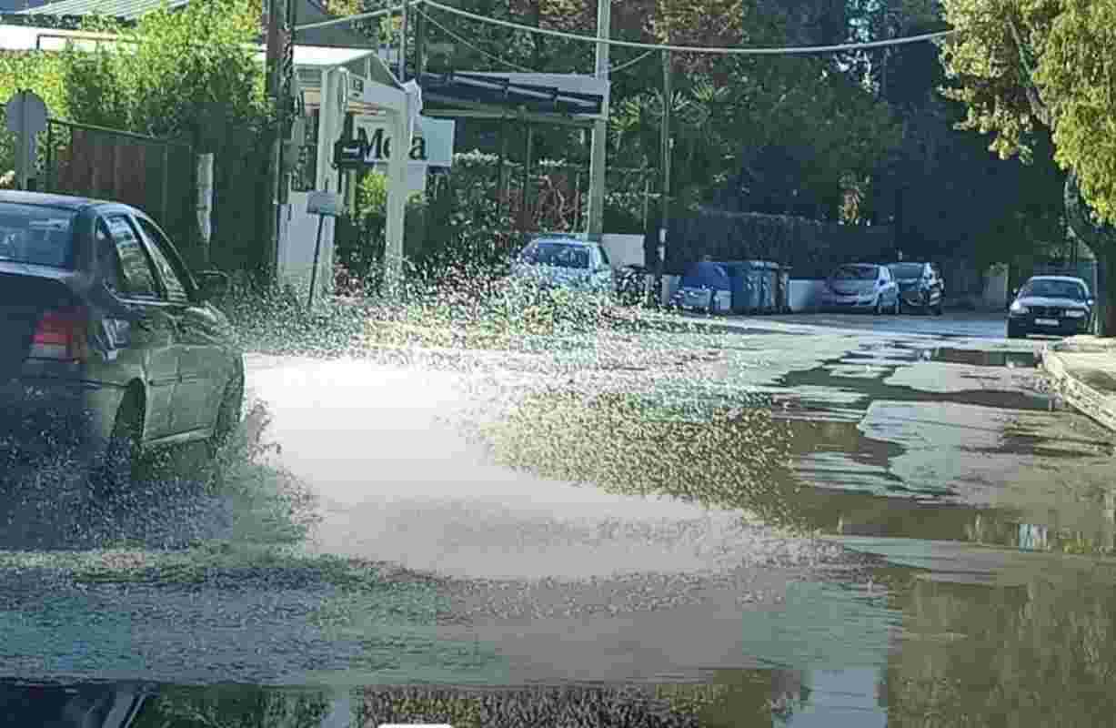 Πάτρα, Patras, Ακταίο, Aktaio, παραλία Ακταίου, Aktaio beach, λύματα, sewage, wastewater, αποχετευτικό δίκτυο, sewage network, βλάβη, leak, διαρροή, malfunction, ρύπανση, pollution, περιβαλλοντική ρύπανση, environmental damage, Βόρεια Πάτρα, North Patras, δημόσια υγεία, public health, Άγιος Βασίλειος, Agios Vasileios, φρεάτια, manholes, πλημμύρα λυμάτων, sewage flooding, ΔΕΥΑΠ
